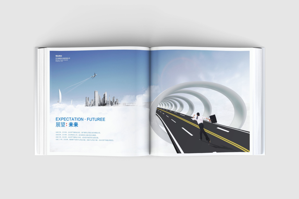 美兰区画册设计